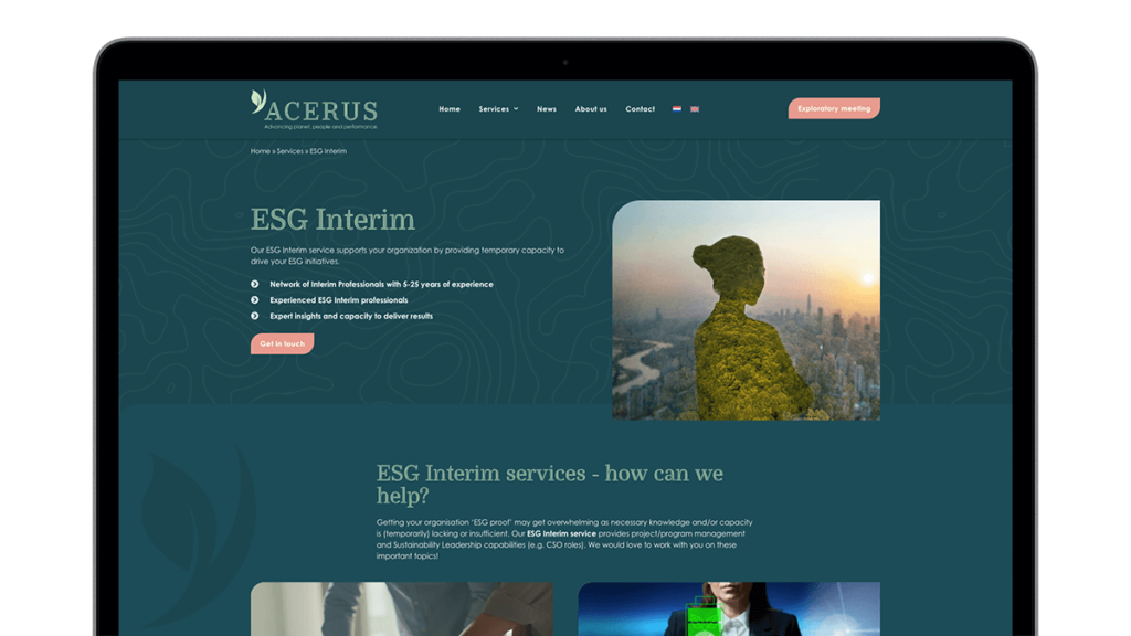 Interim-Acerus-Website-screens